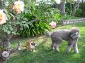 IMG_5546